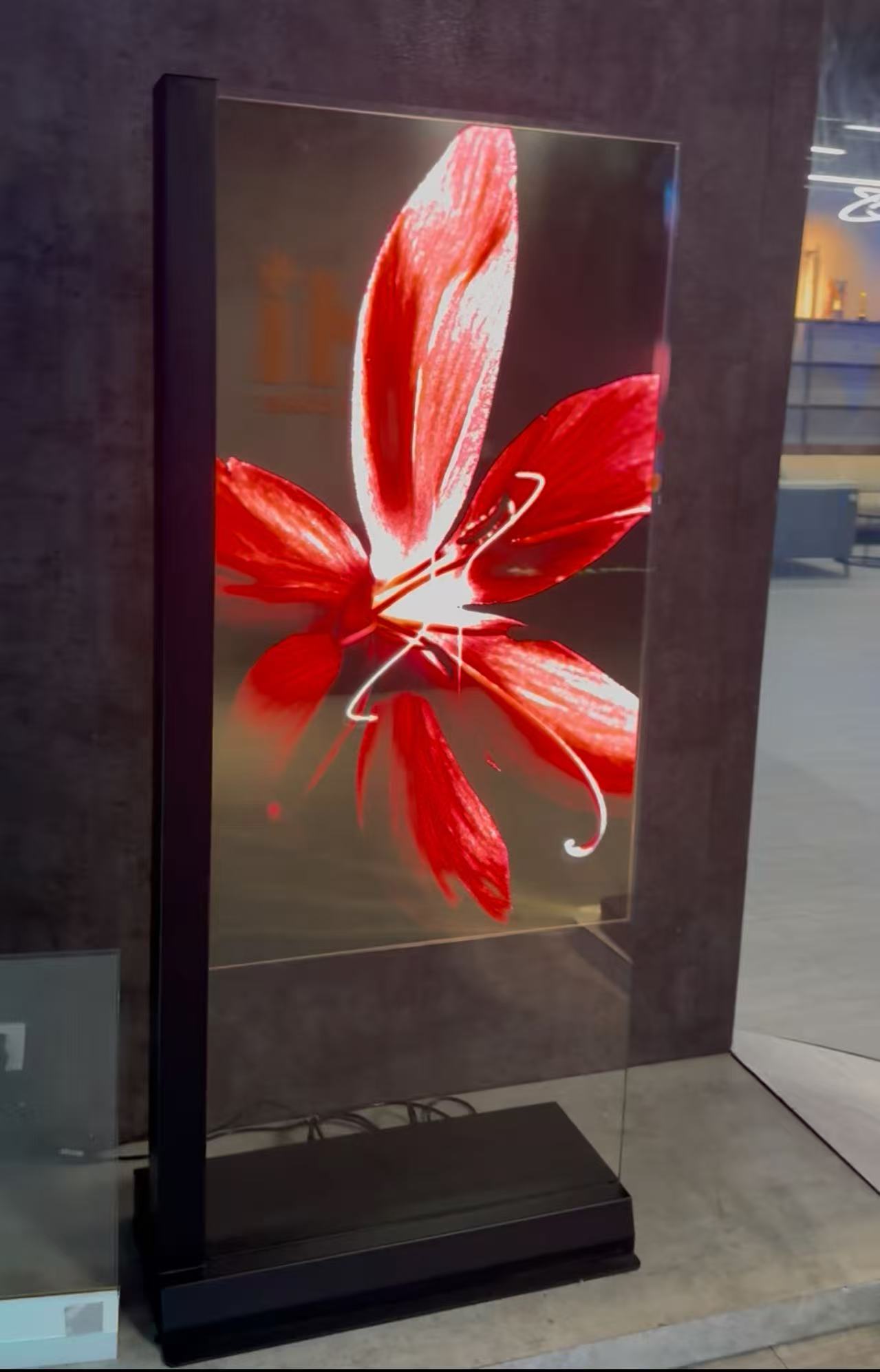 Écran transparent OLED vertical de 55 pouces – Abcdisplay