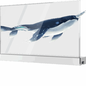 Écran transparent OLED de bureau de 55 pouces