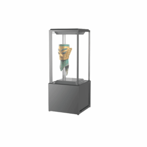 Vitrine transparente OLED de 55 pouces