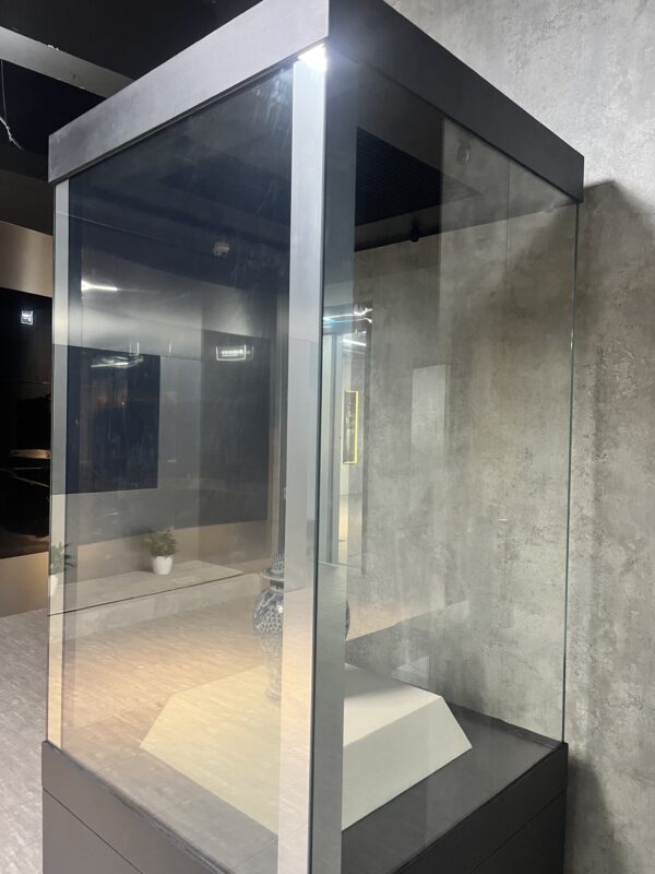 Vitrine transparente OLED de 55 pouces – Image 7